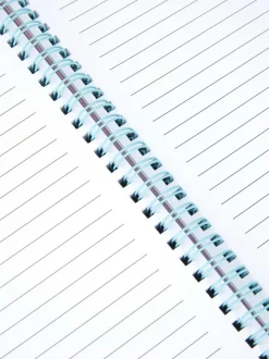 Brokatowy notes A4 z motywem Sticha Disneya