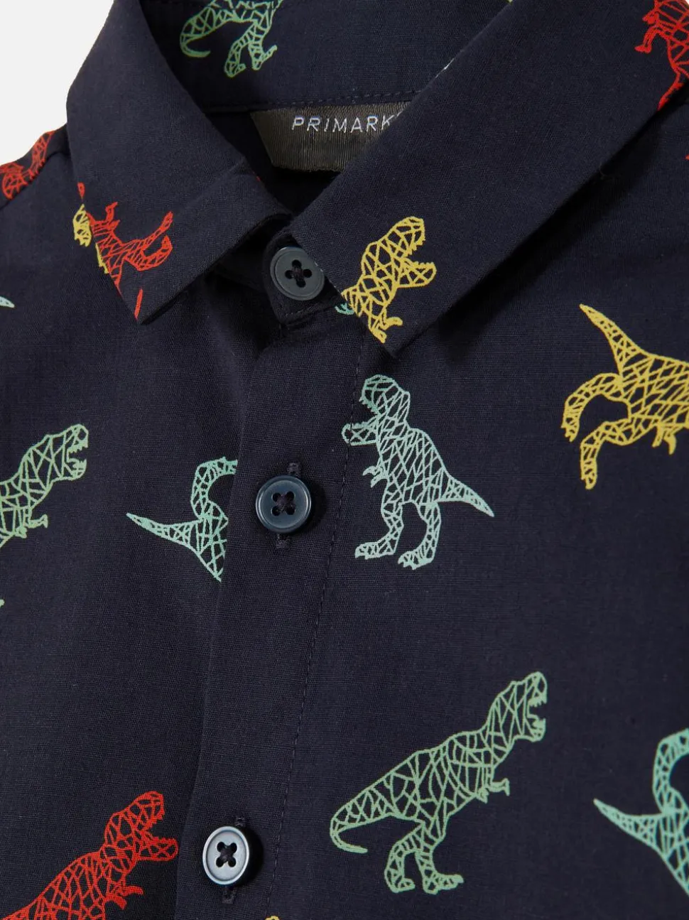 Koszula z krótkim rękawem i motywem dinozaura