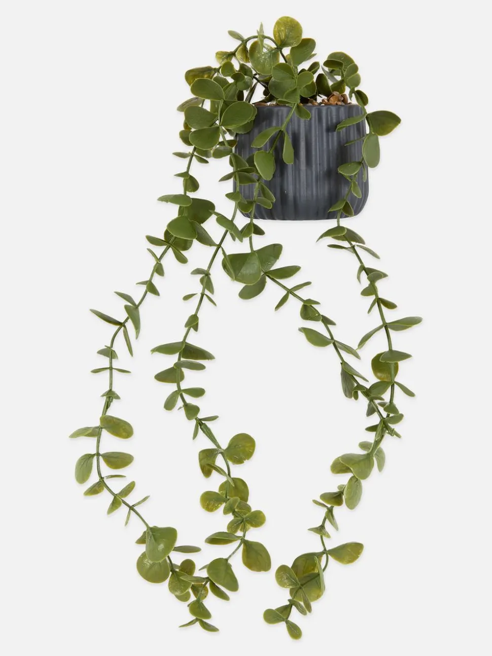 Mały sztuczny wiszący eukaliptus