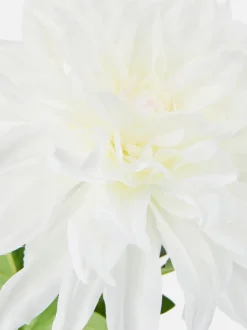 Sztuczna dalia na pojedynczej łodydze