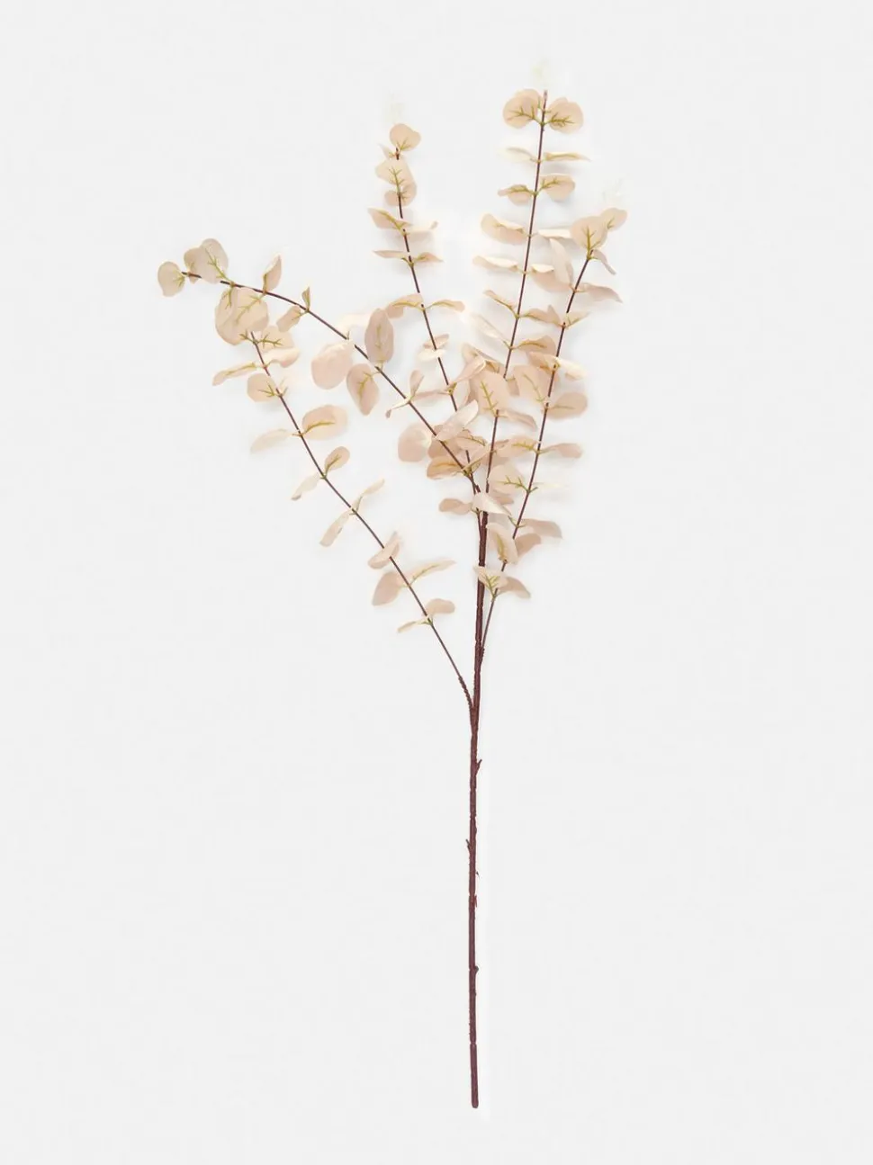 Sztuczny eukaliptus na pojedynczej łodydze