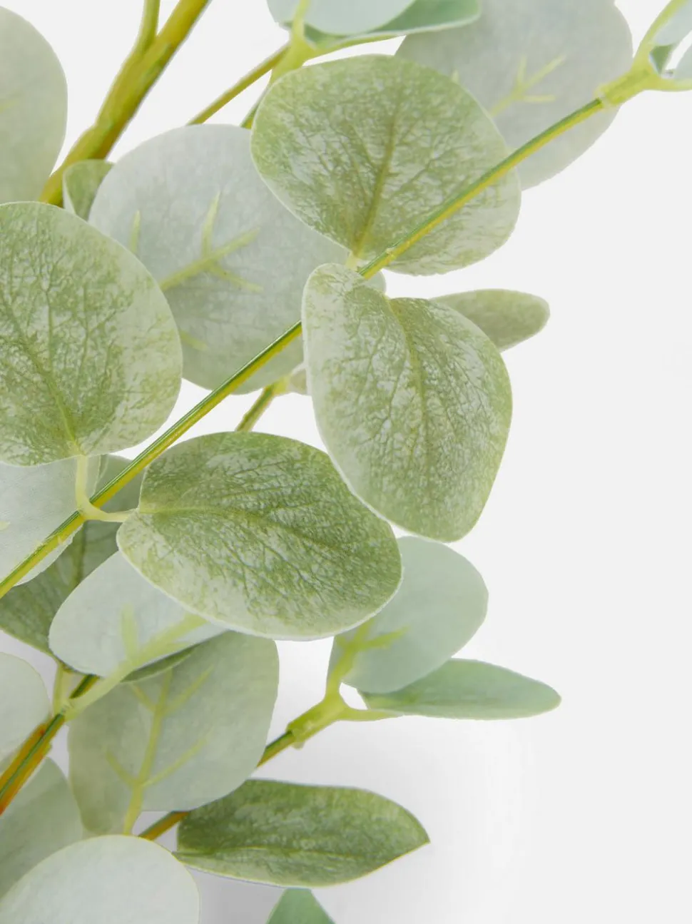 Sztuczny eukaliptus na pojedynczej łodydze