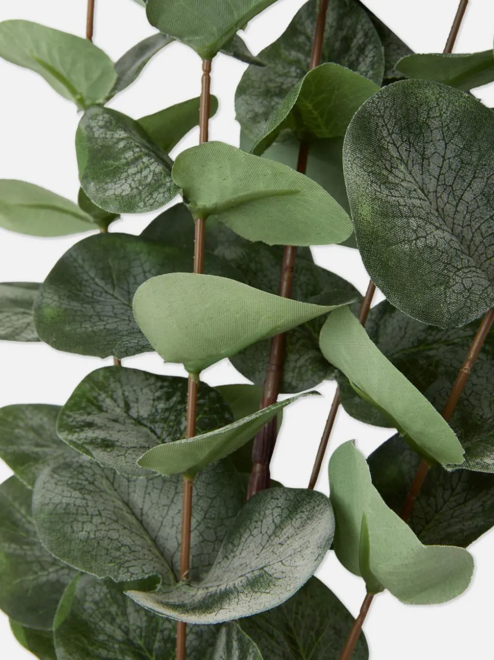 Sztuczny eukaliptus na pojedynczej łodydze