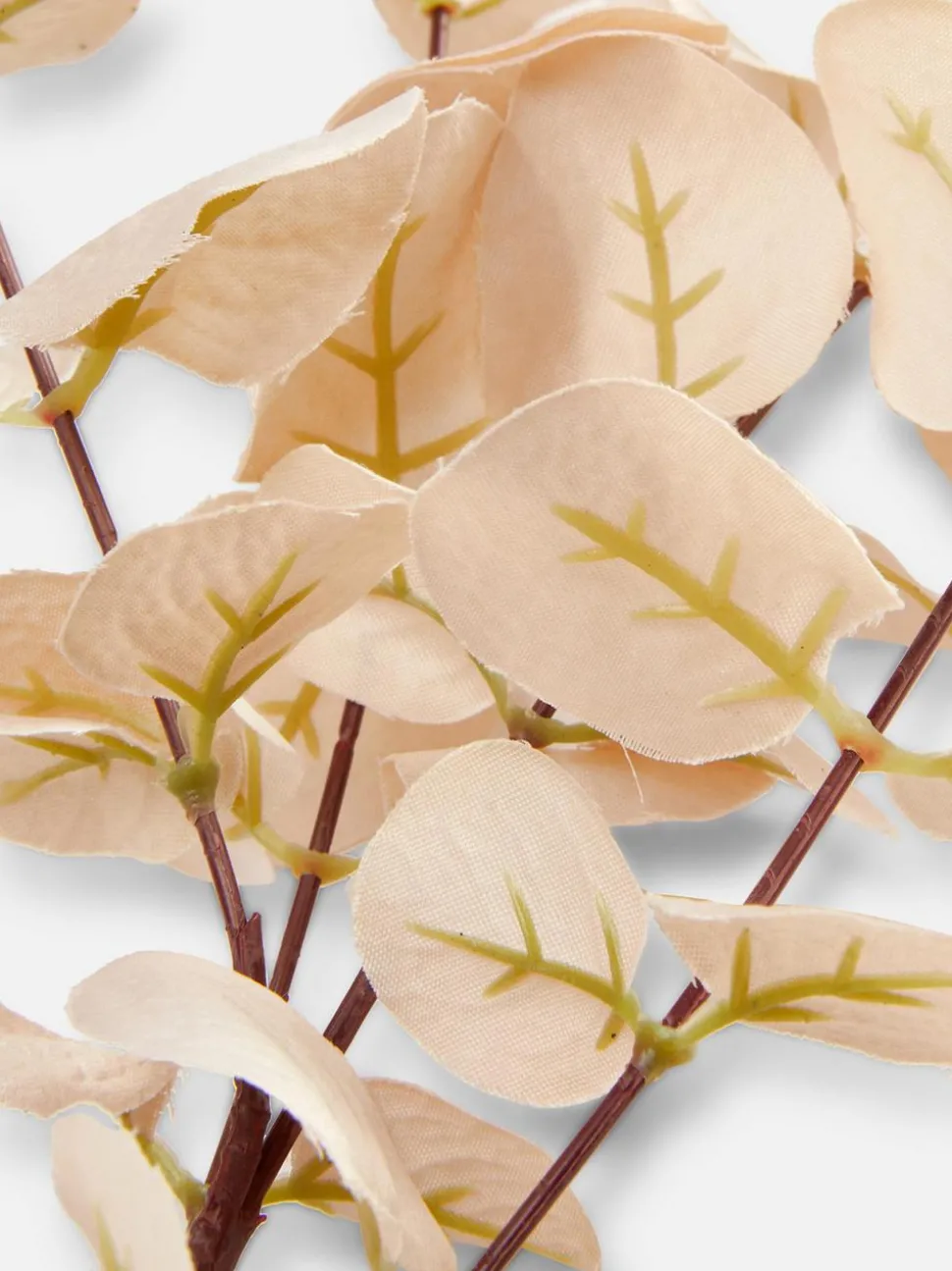 Sztuczny eukaliptus na pojedynczej łodydze