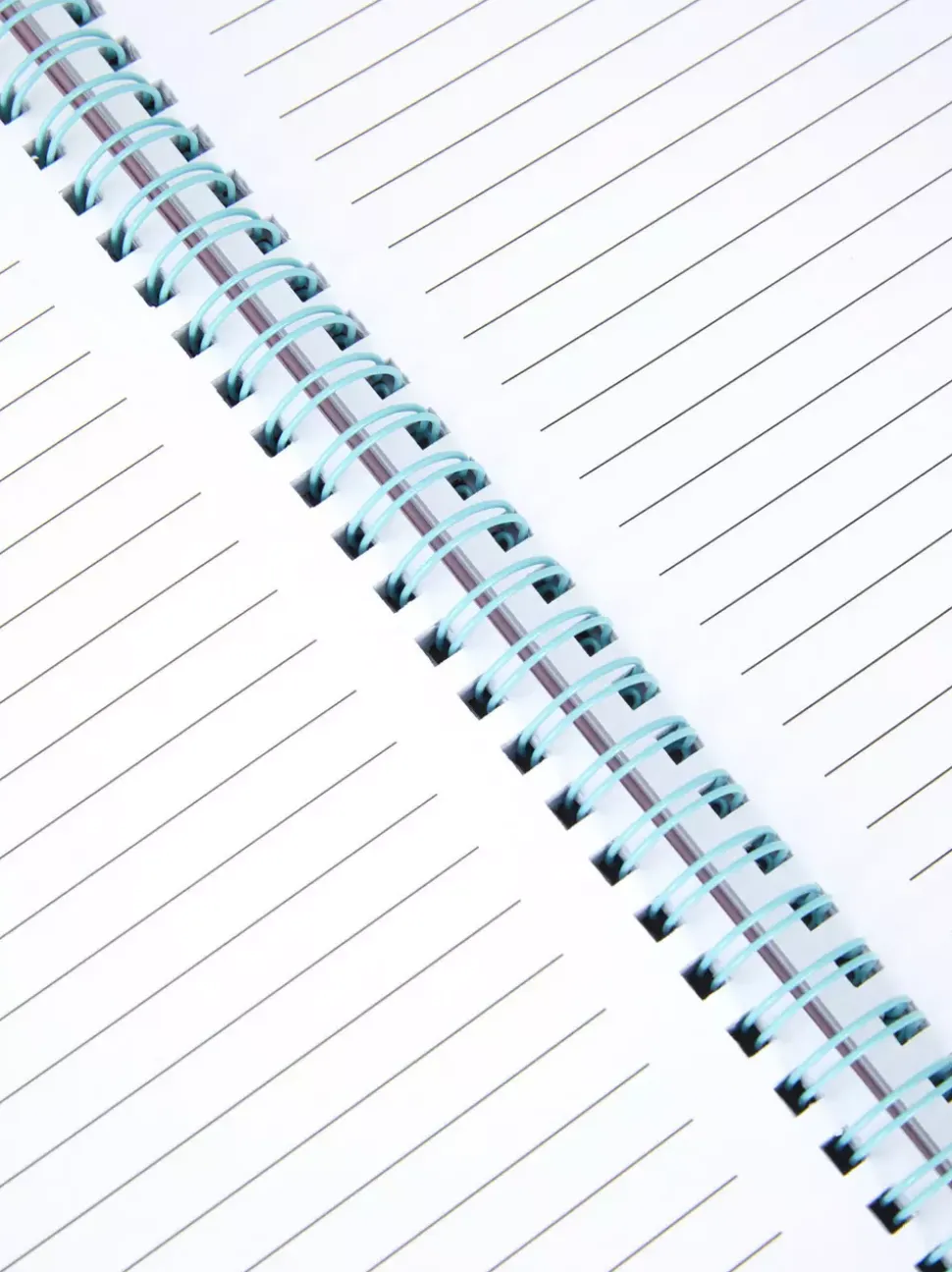 Brokatowy notes A4 z motywem Sticha Disneya