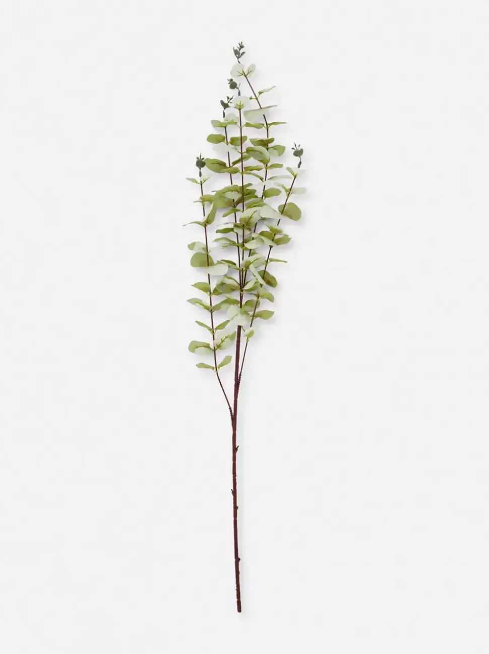 Sztuczny eukaliptus na pojedynczej łodydze