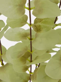Sztuczny eukaliptus na pojedynczej łodydze