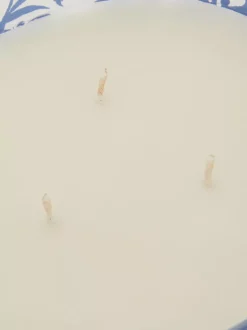 Świeca zapachowa z trzema knotami w jesiennym słoiku